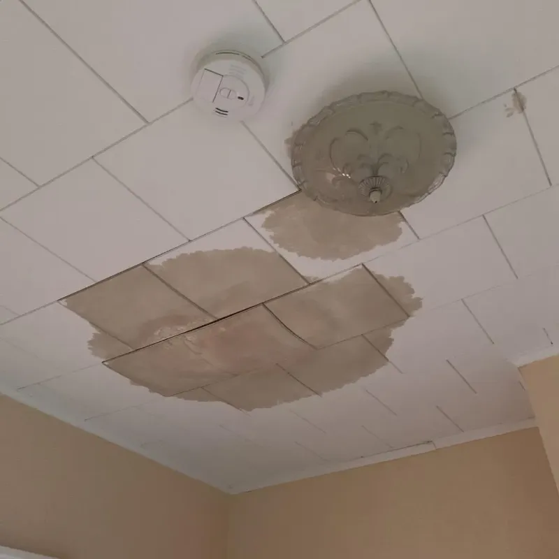 Ceiling Water Damage Repair in Brunswick, OH