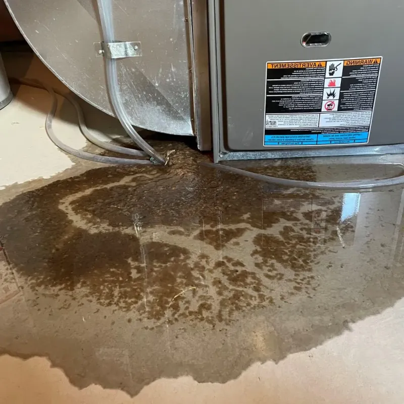 Pipe Burst and Leak Restoration in Brunswick, OH